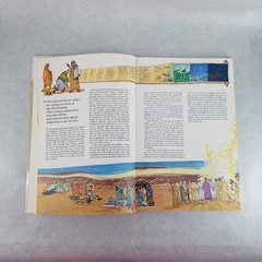 Exile and Return: The Bible and Its Story – Illustrated HC by Enrico Galbiati