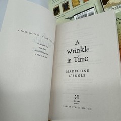 INCOMPLETE The Wrinkle in Time Set books No Journal