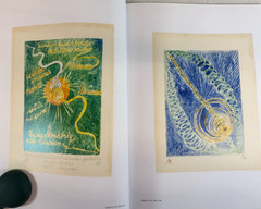 Hilma af Klint, The Blue Book, Almquist, 2020, E-119