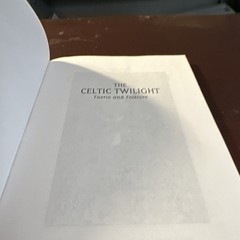 W. B. Yeats The Celtic Twilight: Faerie and Folklore Dover Paperback Unabridged