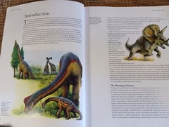 dinosaurs and other prehistoric animals by amber