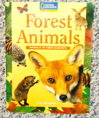Wonderful Lot of 11 Pre-owned Children’s Books – Mixed Reading Levels (Lot N)