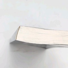 Forever Seventeen Proud to Be a Jay by Don McMurry 2006 Paperback Book