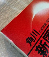 Vintage 1983 Kadokawa New Japanese Dictionary (Shin Kokugo Jiten) – 1981 1st Ed.