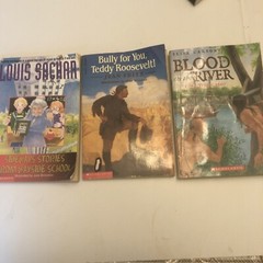 scholastic books vintage. 3 books by different title and authors priced as a set