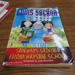 Lot of 20 Chapter Books for 4th Grade Boys & Girls Classroom RL4, AR