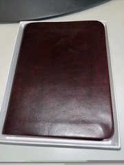 Daily Light Devotional (Burgundy Leather) – Leather Bound – GOOD