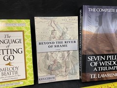 The Language of Letting Go Beyond the River of Shame Seven Pillars of Wisdom