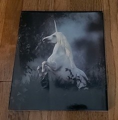 Unicorns I Have Known by Robert Vavra 1983
