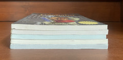 You Choose Books Lot of 5 ~ An Interactive History Adventure ~ Capstone