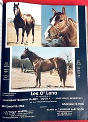 1979 Quarter Horse Journal, Book, STALLION EDITION! – KIDNAP BAR – ZAN PARR BAR