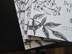 Plant Magic for the Beginner Witch : An Herbalistæs Guide to Heal, Protect an…