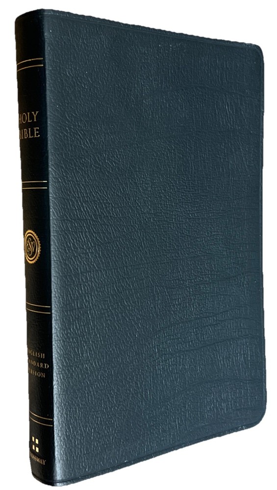 ESV Large Print Thinline Bible (Black Genuine Leather)