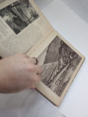 Rare Antique 1889: The Daisy Chain, R Worthington New York, Illustrated *Read
