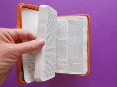 The Holy Bible New Testament – New Century Version Orange Zipper Water Resistant
