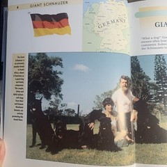A Kennel Club Book Giant Schnauzer Comprehensive Guide To Owning And Caring For