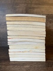 Vintage Various 90s Lot of 15 Books Scholastic Apple Fiction Horror Mystery Teen
