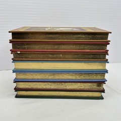 The Royal Diaries Dear America Series Hardcover Scholastic 7 Book Lot Historical