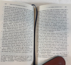 La Gurra Guidaica, Two Volumes, Vitucci, 2005, E-119