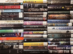 RANDOM MIX Lot of 25 Young Adults YA Teen ROMANTASY SCI-FI DYSTOPIAN PARANORMAL