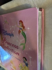 VTG Disney’s Storybook & Princess Collection Disney Book Group Staff 1999 2 Book