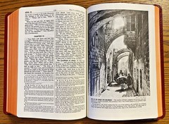 Saint Joseph Edition of the New American Bible NEW in Box Large Type Illustrated