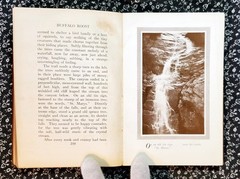 Buffalo Roost, F. H. Cheley, 1913, First Edition, Hardcover, Antique