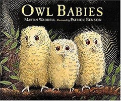 Owl Babies Board Books Martin Waddell