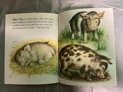 Vintage Children’ Animal books – Barn Panorama/Old MacDonald/Farmer Jones+1