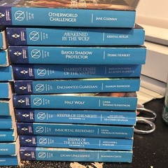 Lot of 20 Harlequin American Romance Paperback Book lot 2010’s