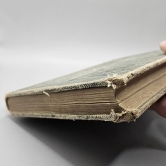 Handbook Of Nature-Study By Anna Comstock 1911 Published 1923
