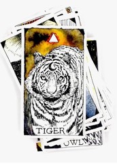 The Wild Unknown Animal Spirit Deck and Guidebook (Official Keepsake Box Set NEW