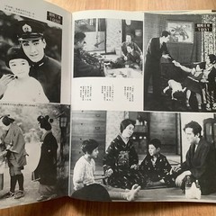 All about Hideko Takamine Japanese Movie Actress Photo Book 237 Pages 1990