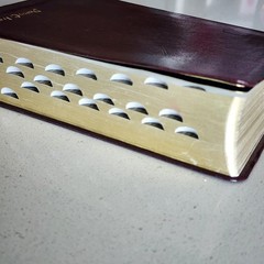 Holy Bible King James Version Burgundy Leather Book with Thumb Indexes LDS