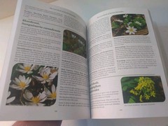 The Lost Book of Herbal Remedies: by Nicole Apelian & Claude Davis Paperback