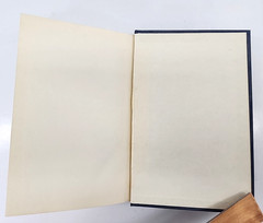 History Of The Hebrew Commonwealth Vintage 1949 Edition Charts Maps Illustration