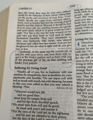The Living Insights Study Bible NIV Zondervan Bonded Leather 1996 Swindoll Navy