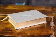 NIV, Upside-Down Kingdom Bible, Leathersoft, Tan, Comfort Print: Think Deeply…