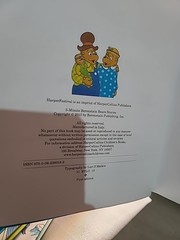 Berenstain Bears Lot 8+ Books by Stan & Jan Berenstain – Hardcover Children’s Bo