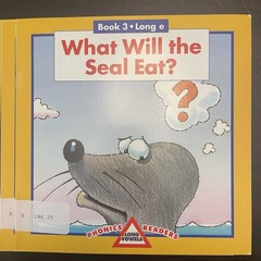 Phonics Readers Long Vowels SET OF TEN different decodeable books