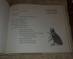 Bugs : Poems By Mary Ann Hoberman 1976 HC 1st ED in Dust Jacket RARE SIGNED!