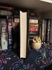 The Night Circus Erin Morgenstern out-of-print First Edition