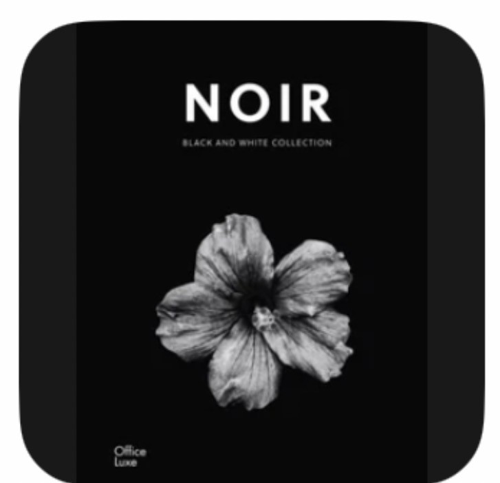 Noir: Coffee Book Black and White Art Minimalist Coffee Books Decor Living R…