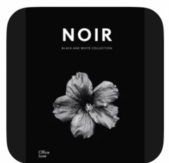 Noir: Coffee Book Black and White Art Minimalist Coffee Books Decor Living R…