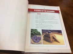 A QUICK GUIDED TOUR THROUGH THE BIBLE: EXPERIENCE THE By Stephen M. Miller PB VG
