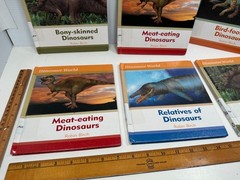 Set of 6 Dinosaur World Books Robin Birch Ex-Lib Teacher Homeschool Reading