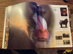 Smithsonian Institution Animal : The Definitive Visual Guide to the World’s…