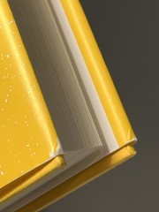 Lighter by Yung Pueblo – First Edition Hardcover w/ Dust Jacket