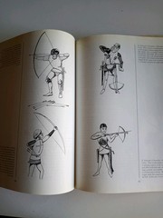 Crecy 1346 Anatomy Of A Battle By Henri de Wailly 1987 Translation By Sookia