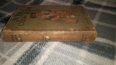 1916 Nyal Cook Book by Janet McKenzie Hill Boston Cooking School Illustrated